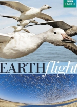 Kuş Bakışı Dünya: Avrupa poster